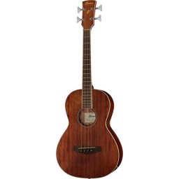 Ibanez PNB14E-OPN Acoustic Bass