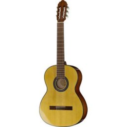 Gewa Student Solid Top Spruce 4/4