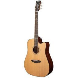 Framus FD 14 SV Dreadnougth VTN