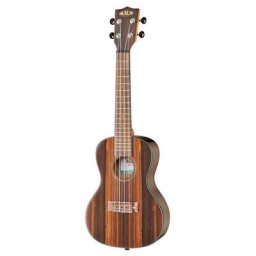 Kala KA-ZCT-C Concert Ukulele