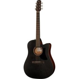 Ibanez AAD190CE-WKH