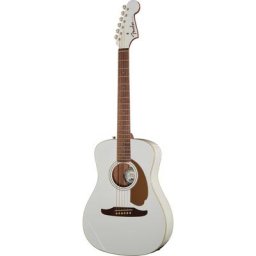 Fender Malibu Player ARG