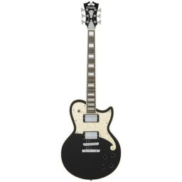 Dangelico Premier Atlantic Black Flake