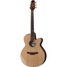 Takamine TSF40C