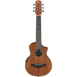 Ibanez EWP12EWB-OPN Piccolo