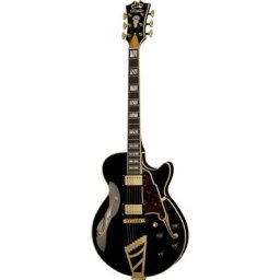 DAngelico Excel SS Solid Black