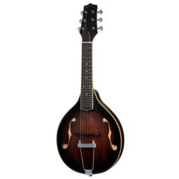 Gold Tone A-6 Tabacco Sunburst