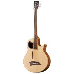 Warwick Alien 5 NT FL