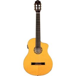 Ortega RCE170F