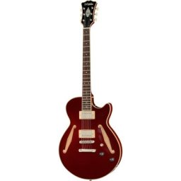 DAngelico Excel SS Tour Collection SW