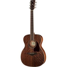 Ibanez AC340-OPN Artwood