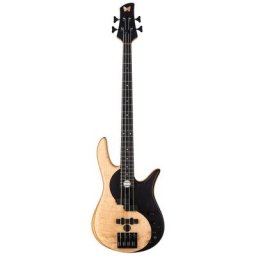 Fodera Yin Yang Std Blister Maple