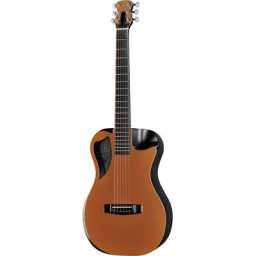 Journey Instruments OF660O1M Orange Top