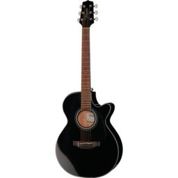 Takamine GF30CE-B