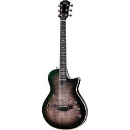 Taylor Custom #33 T5z