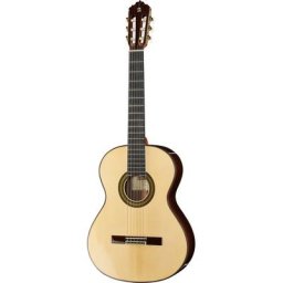 Alhambra 7P A incl.Gig Bag