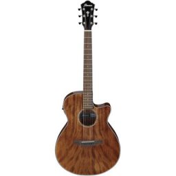 Ibanez AEG61-NMH