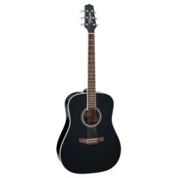 Takamine FT341