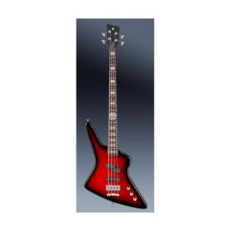 Warwick AL Rex Brown 4 Burgundy BKB HP