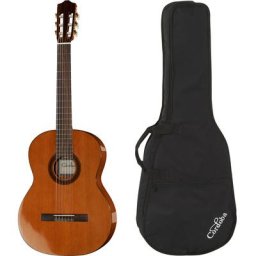 Cordoba C5 w/Bag