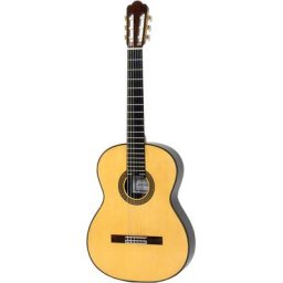 Asturias Custom S
