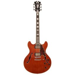 DAngelico Premier DC Boardwalk Walnut Satin