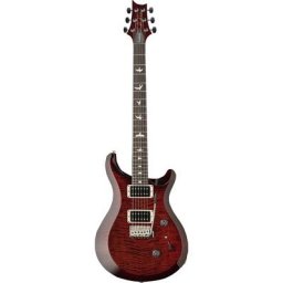PRS S2 Custom 24 Birds FR