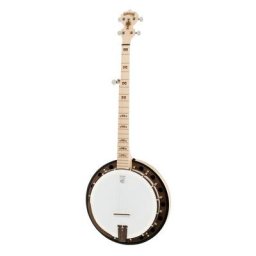 Deering Goodtime Two Limited Bronze