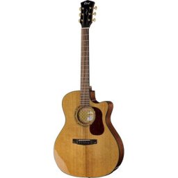 Cort Gold A6