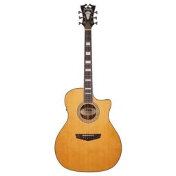 DAngelico Premier Gramercy Vintage Natur