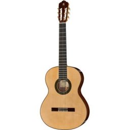 Alhambra 5P A incl.Gig Bag