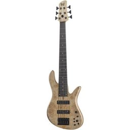 Fodera Emperor 6 Standard Maple Burl