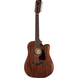 Ibanez AW5412CE-OPN Artwood