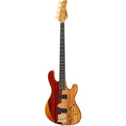 Cort Rithimic Jeff Berlin 4