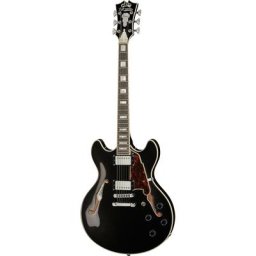 Dangelico Premier DC Black Flake