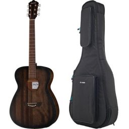 Harley Benton Delta Blues OE Set 1