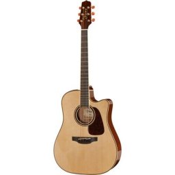 Takamine P4DC