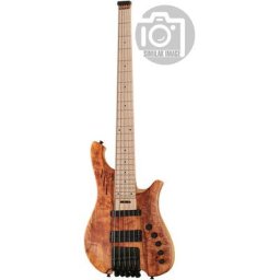 Le Fay Herr Schwarz 5 Headless Ch