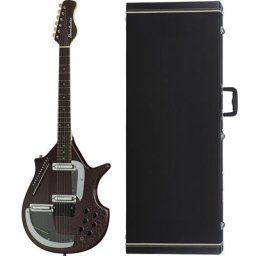 Danelectro Sitar Bundle