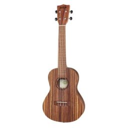 Kala KA-TEAK-C Concert Ukulele