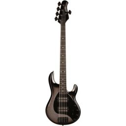 Music Man Stingray 5 Sp HH Smoked CH