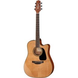 Takamine P1DC