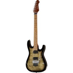 Harley Benton Fusion-III HH FR Roasted FCB