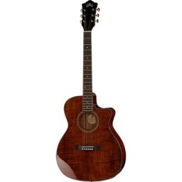 Guild OM-260CE Deluxe BW