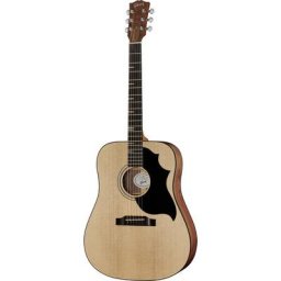 Gibson G-Bird Generation Collection