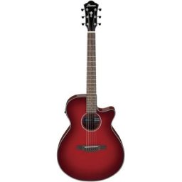 Ibanez AEG51-TRH