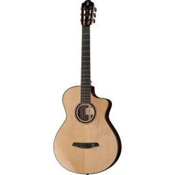 Furch GNc4-SR w/LR Baggs EAS-VTC