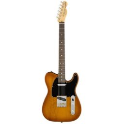 Fender AM Perf. Tele RW HBST