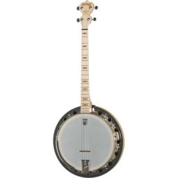 Deering Goodtime Two 19 Fret