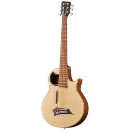 Warwick Alien 6 NT